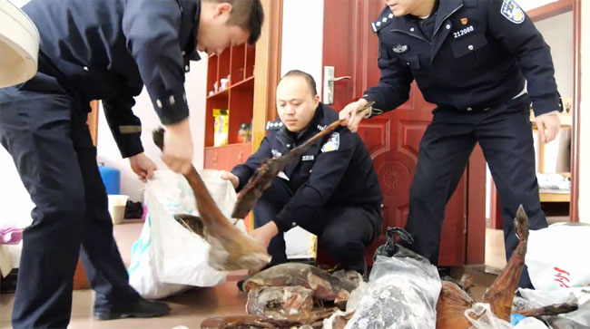 物品销毁公司