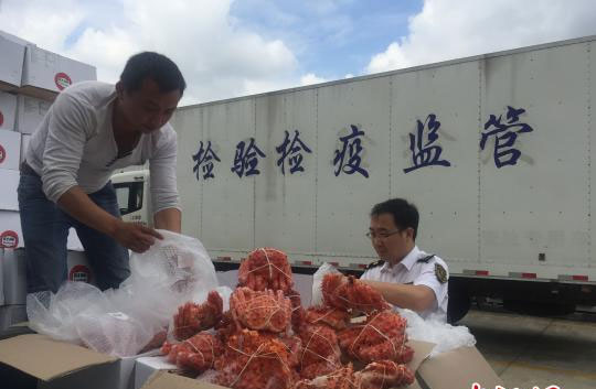 上海销毁公司