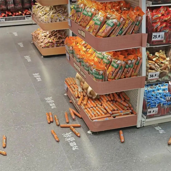 超市食品销毁公司