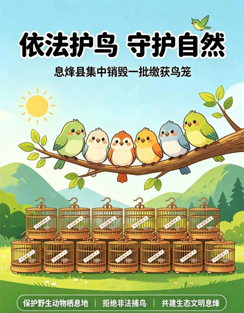 物资销毁公司
